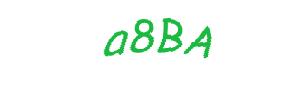 عبارت امنیتی