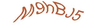 عبارت امنیتی