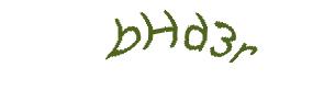 عبارت امنیتی