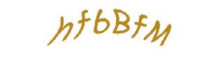 عبارت امنیتی