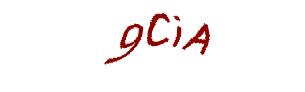 عبارت امنیتی