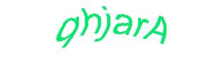عبارت امنیتی