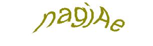 عبارت امنیتی