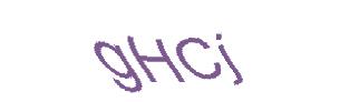 عبارت امنیتی