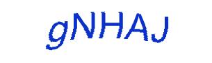 عبارت امنیتی