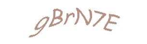 عبارت امنیتی
