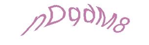 عبارت امنیتی