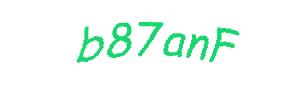 عبارت امنیتی