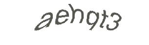عبارت امنیتی