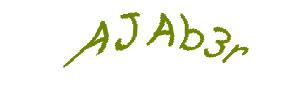 عبارت امنیتی