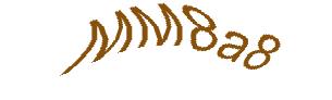 عبارت امنیتی