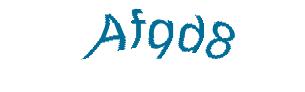 عبارت امنیتی