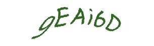 عبارت امنیتی