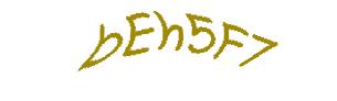عبارت امنیتی