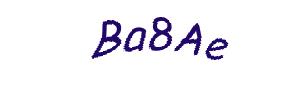 عبارت امنیتی