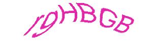 عبارت امنیتی