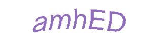 عبارت امنیتی