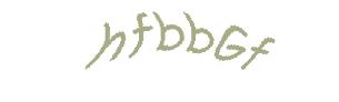 عبارت امنیتی