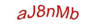 عبارت امنیتی