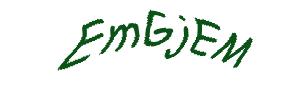 عبارت امنیتی