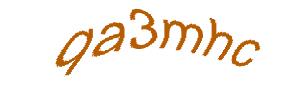 عبارت امنیتی