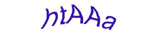 عبارت امنیتی
