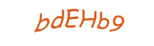 عبارت امنیتی