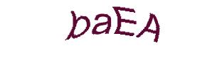 عبارت امنیتی