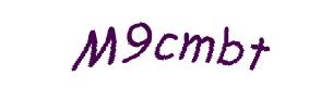 عبارت امنیتی