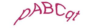 عبارت امنیتی