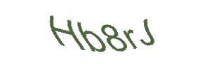 عبارت امنیتی