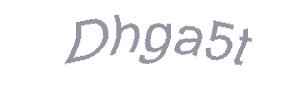 عبارت امنیتی