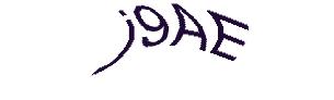 عبارت امنیتی