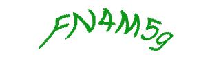 عبارت امنیتی