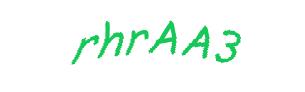 عبارت امنیتی