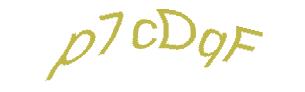 عبارت امنیتی