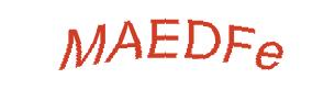 عبارت امنیتی