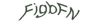 عبارت امنیتی