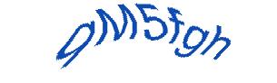 عبارت امنیتی