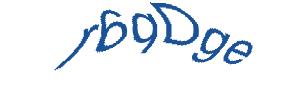 عبارت امنیتی