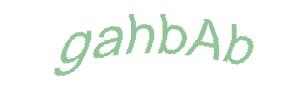 عبارت امنیتی
