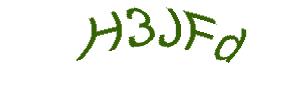 عبارت امنیتی