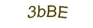 عبارت امنیتی