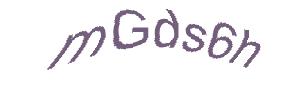 عبارت امنیتی