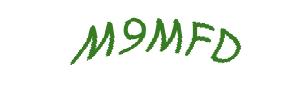 عبارت امنیتی