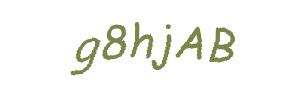 عبارت امنیتی