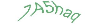 عبارت امنیتی