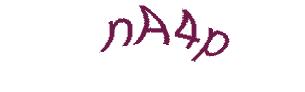 عبارت امنیتی