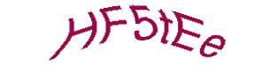 عبارت امنیتی