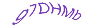 عبارت امنیتی
